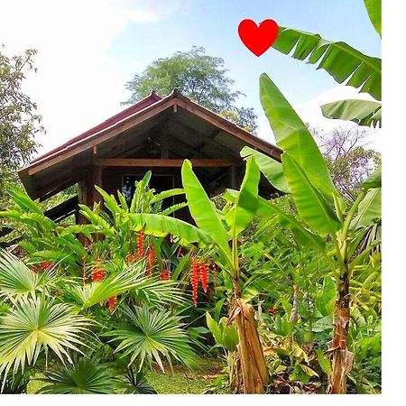 Pencave Homestay Pang Mapha Exterior photo